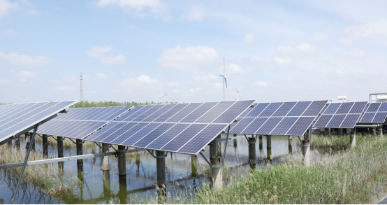 中国·3044永利集团(集团)有限公司-官方网站