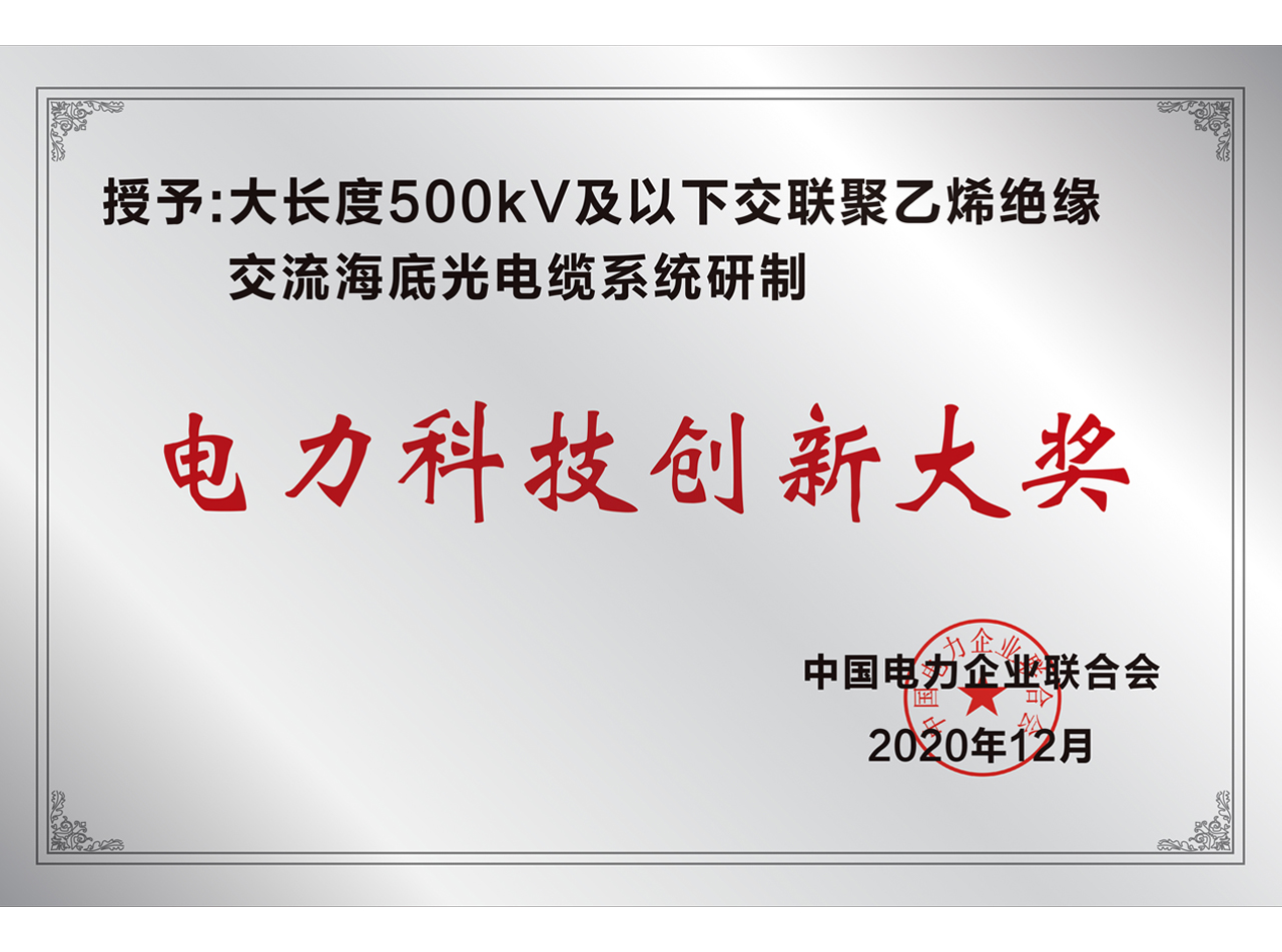 电力科技立异大奖