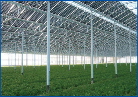 中国·3044永利集团(集团)有限公司-官方网站