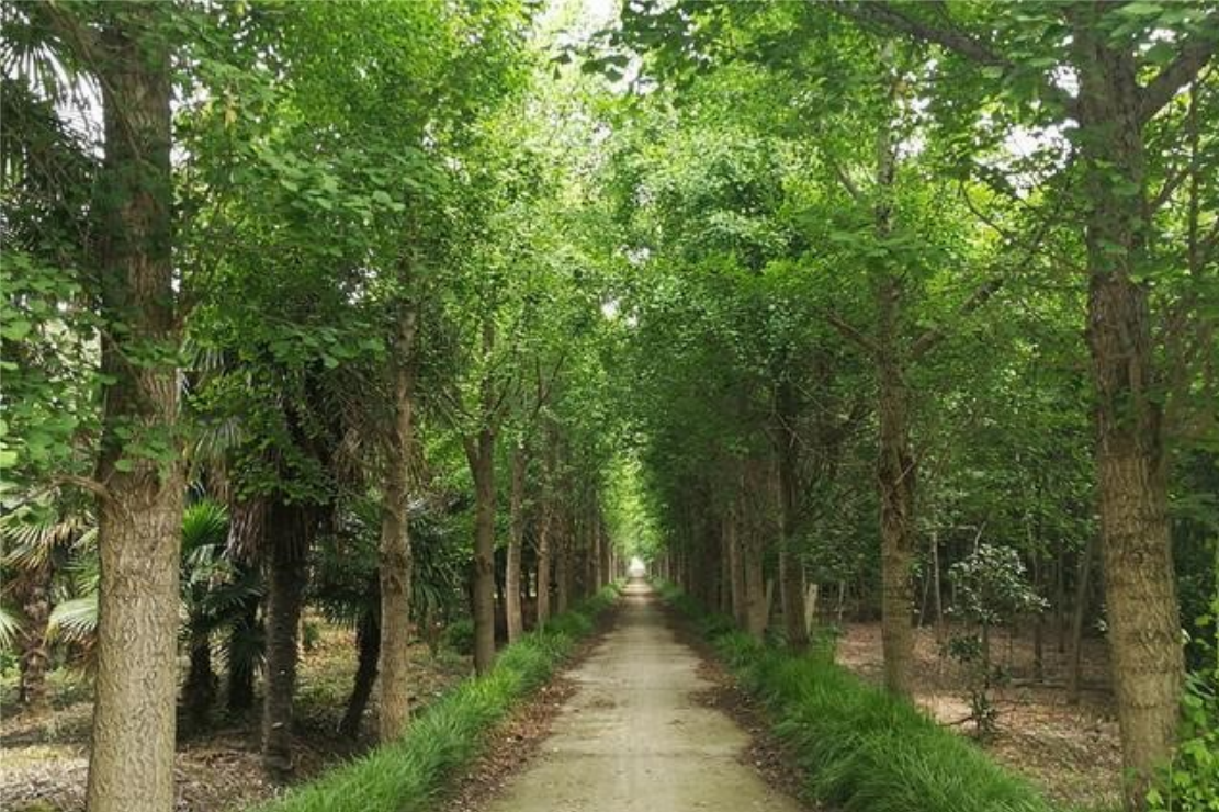 中国·3044永利集团(集团)有限公司-官方网站